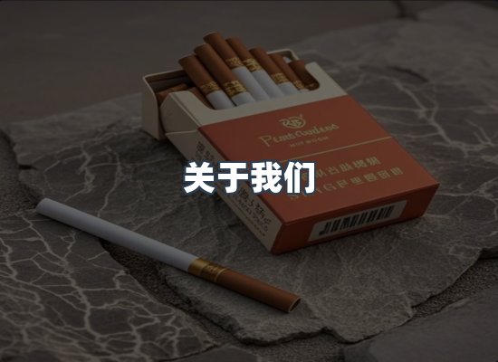 专业团队